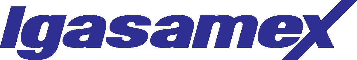 IGASAMEX BAJIO LOGO